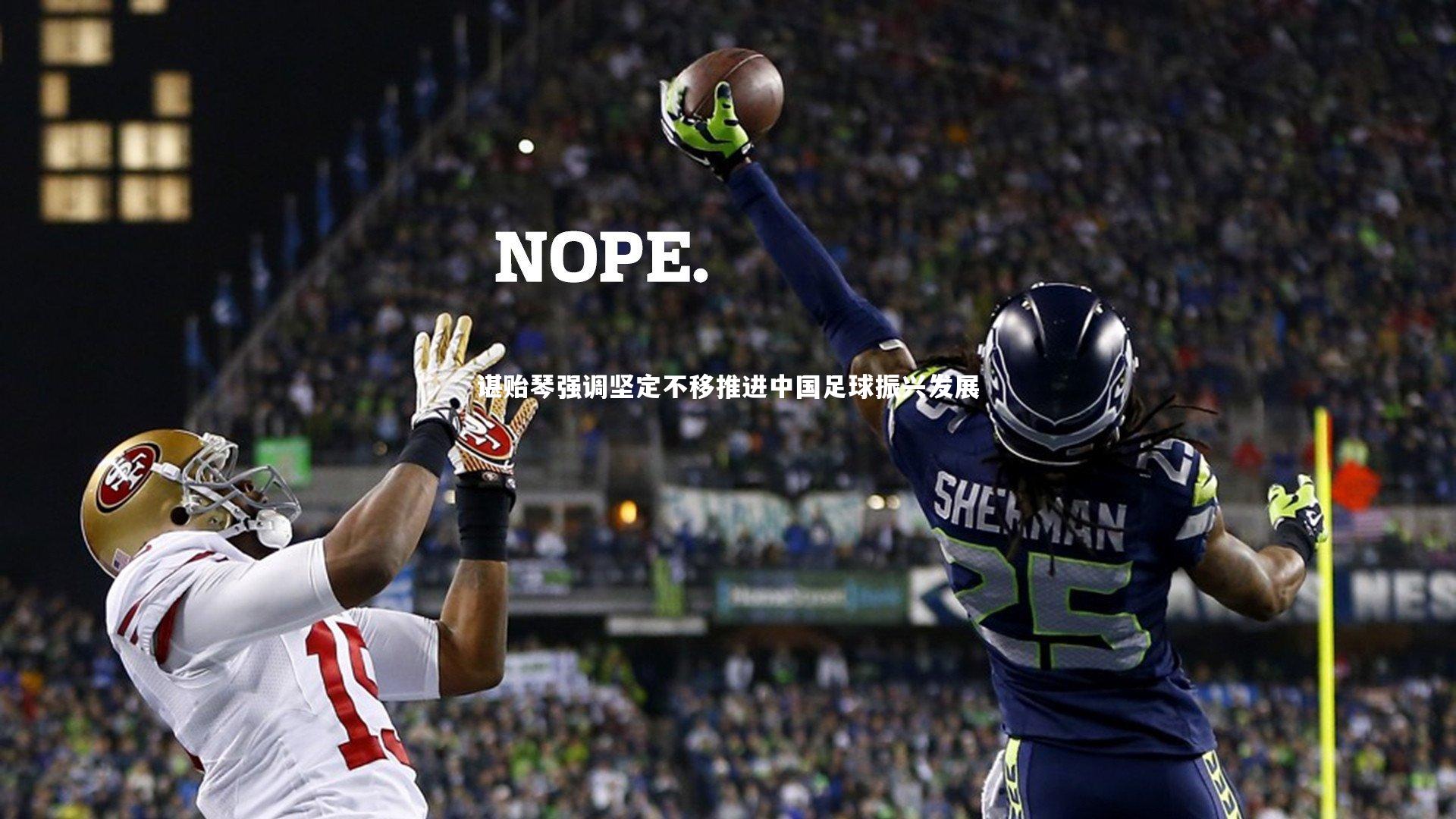 谌贻琴强调坚定不移推进中国足球振兴发展